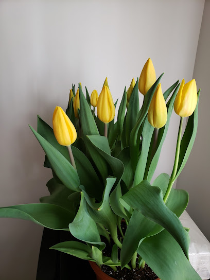 New Relaxation - Asian Massage