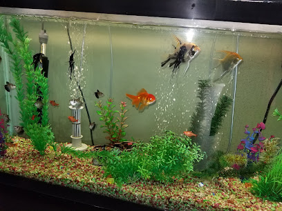 Best Oriental Massage - Asian Massage