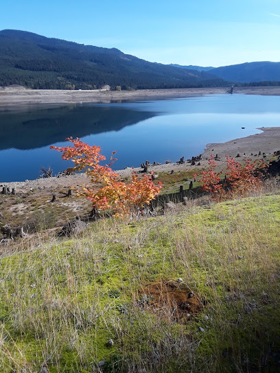 Glo Massage Therapy - Asian Massage